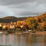 Hotel Rheinhotel Arte 3*