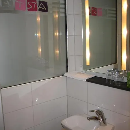 ホテル Rheinhotel Arte 3*