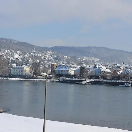 ホテル Rheinhotel Arte