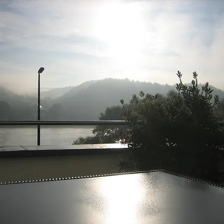 Rheinhotel Arte レマーゲン