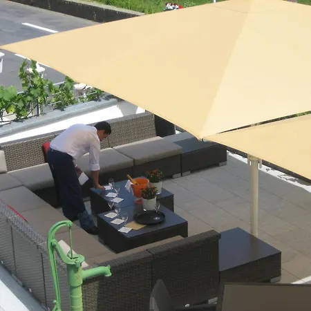 ホテル Rheinhotel Arte 3*