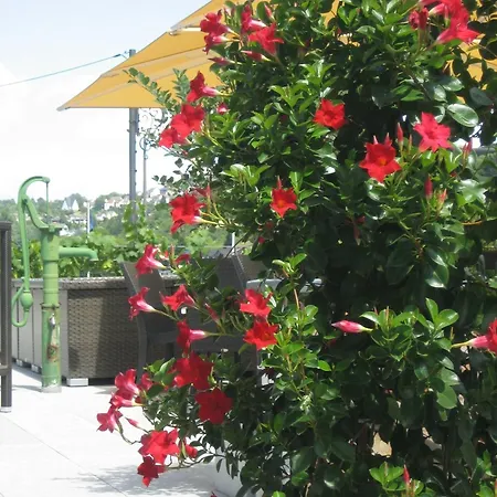 ホテル Rheinhotel Arte レマーゲン