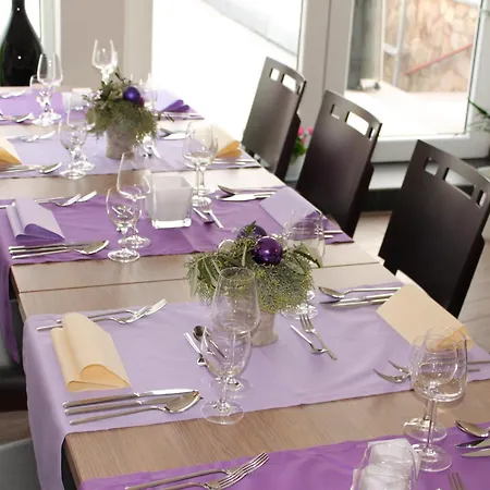 Rheinhotel Arte 레마겐