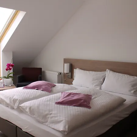 ホテル Rheinhotel Arte レマーゲン