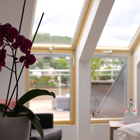 ホテル Rheinhotel Arte