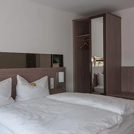 Rheinhotel Arte ホテル レマーゲン