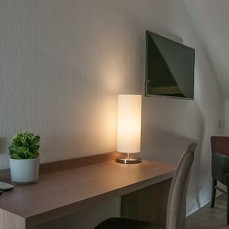 Rheinhotel Arte ホテル レマーゲン