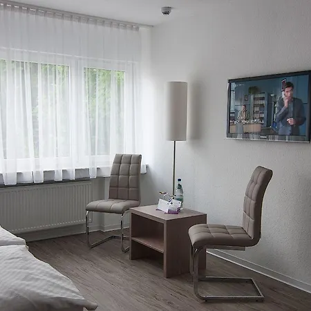 Rheinhotel Arte 호텔 3*