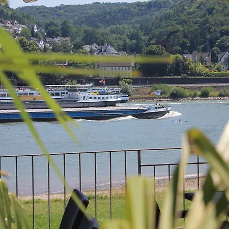 호텔 Rheinhotel Arte 3*