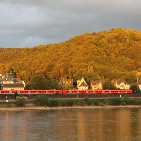 Rheinhotel Arte ホテル