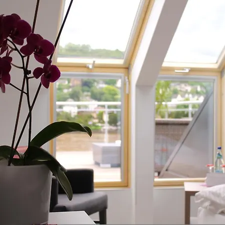 호텔 Rheinhotel Arte