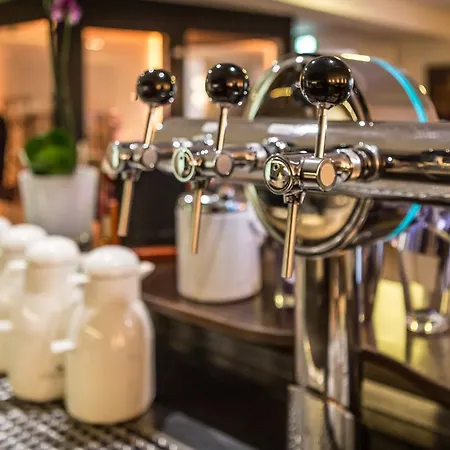 Rheinhotel Arte 호텔 3*