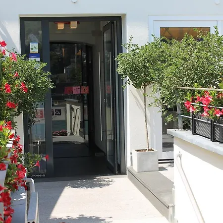 Rheinhotel Arte ホテル 3*