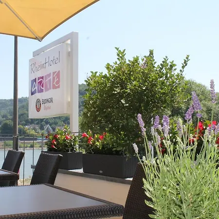 Rheinhotel Arte 3* 레마겐