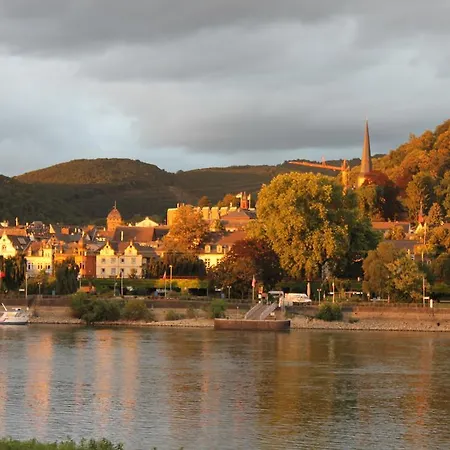 ホテル Rheinhotel Arte 3*