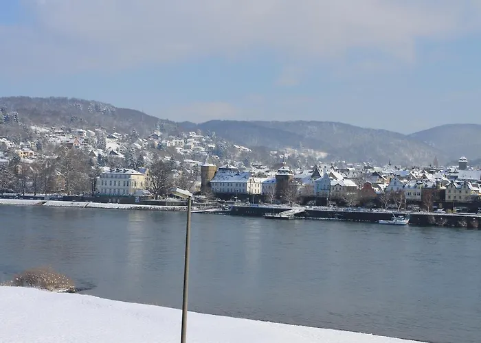 Hotel Rheinhotel Arte