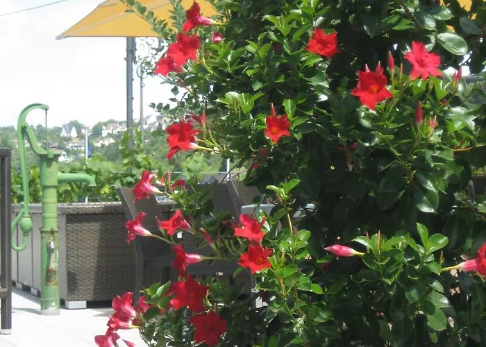 Hotel Rheinhotel Arte Remagen