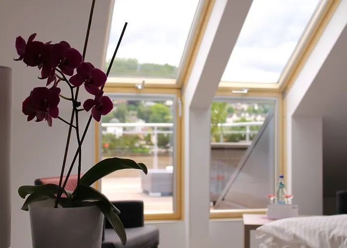 Hotel Rheinhotel Arte