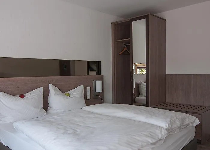 Rheinhotel Arte Hotel Remagen