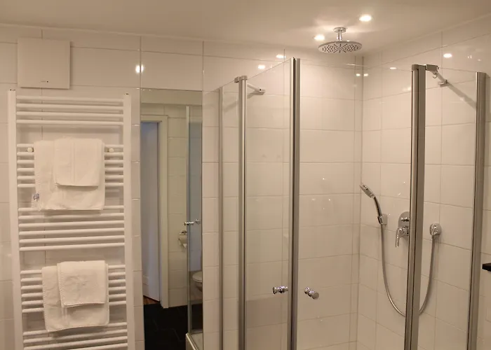 Rheinhotel Arte מלון