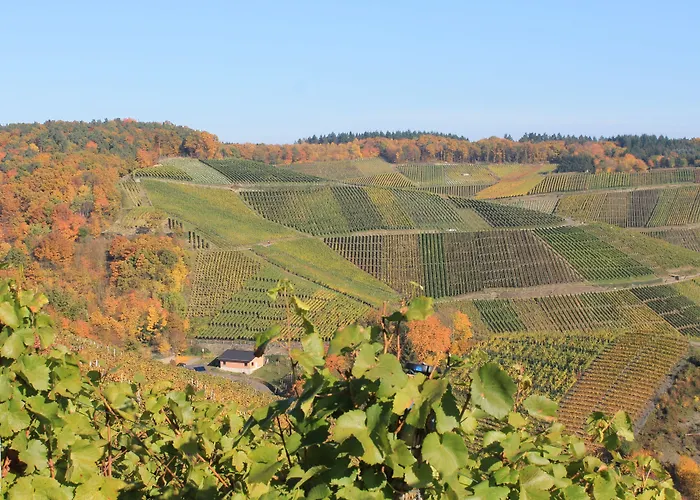 Hotel Rheinhotel Arte 3*