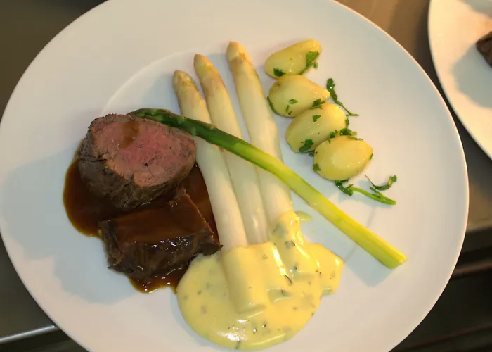 Rheinhotel Arte רמאגן