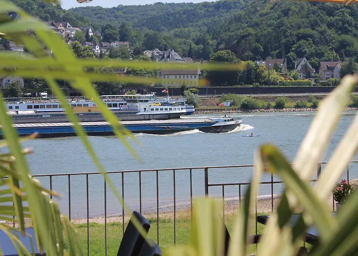 מלון Rheinhotel Arte 3*