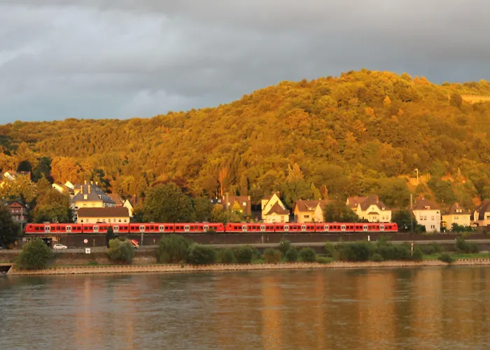 Rheinhotel Arte Hotel