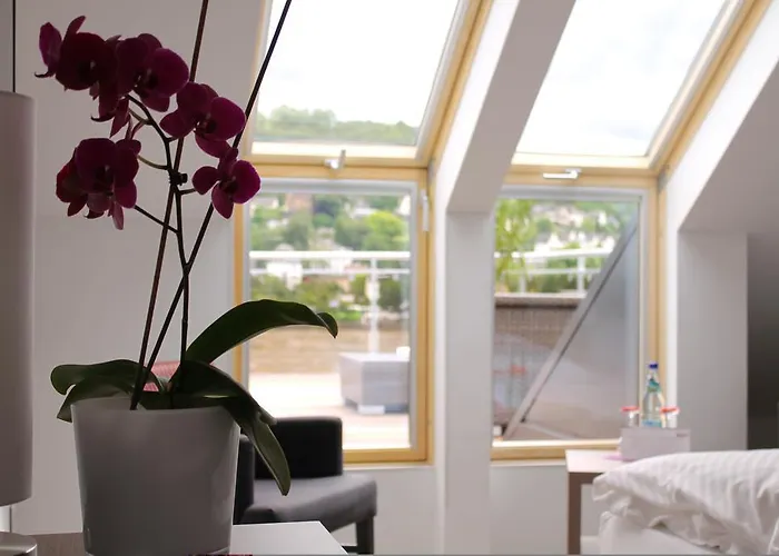 Hotel Rheinhotel Arte