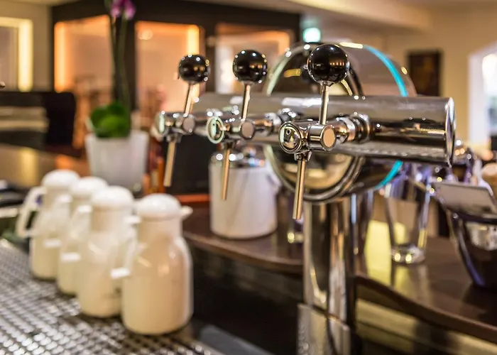 Rheinhotel Arte Hotel 3*