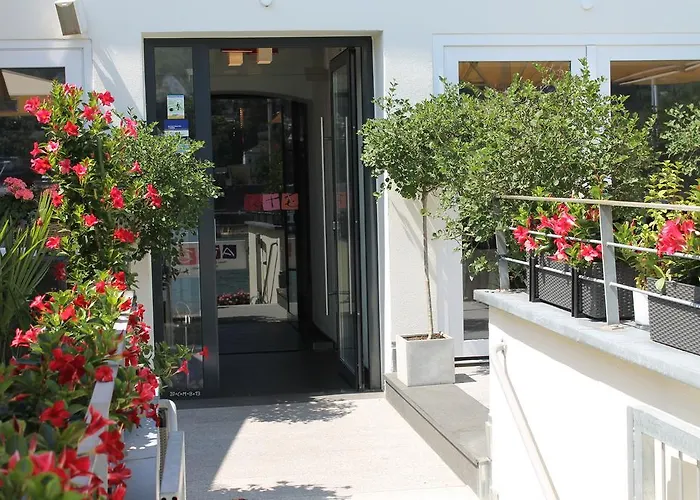 Rheinhotel Arte מלון 3*