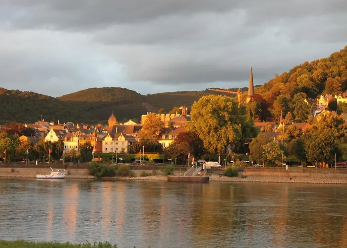 מלון Rheinhotel Arte 3*